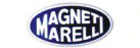 MAGNETARELL